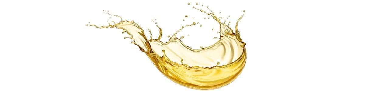 Foto:Shutterstock