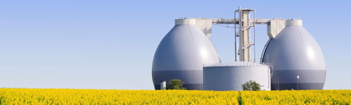Biogas